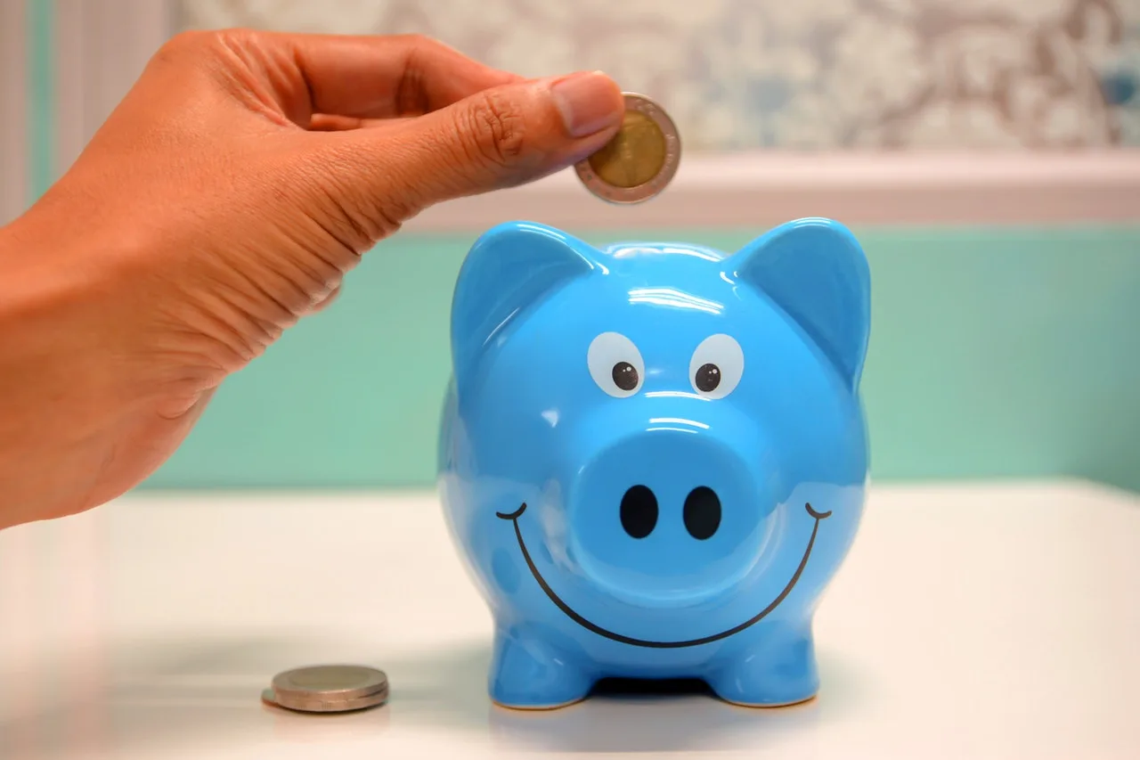 Livro Como organizar sua vida financeira – Resumo Completo